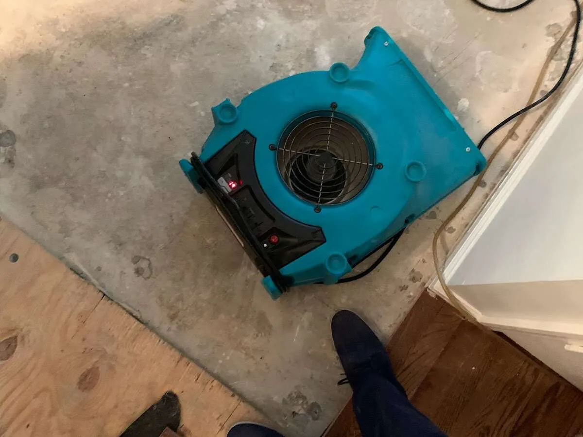 Air mover drying subfloor during Leak Detection & Repair in Brownsville